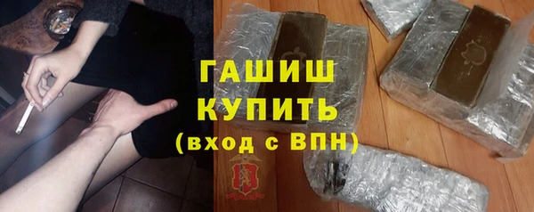 индика Богородицк