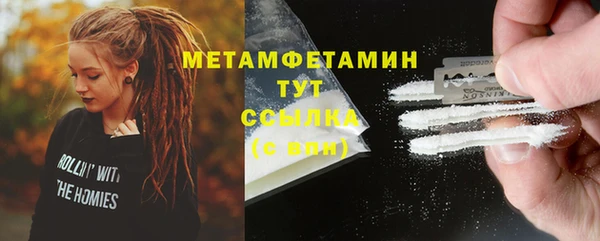 индика Богородицк