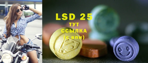 индика Богородицк