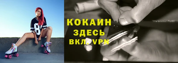 СК Богородск