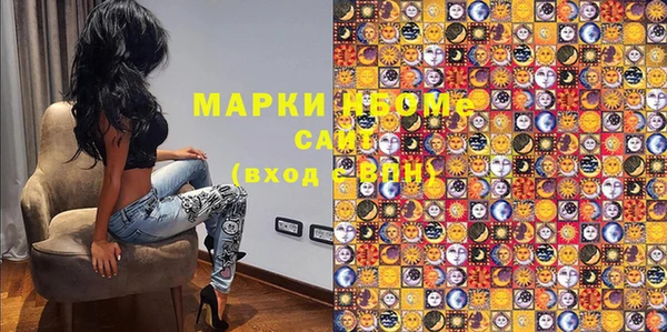 индика Богородицк