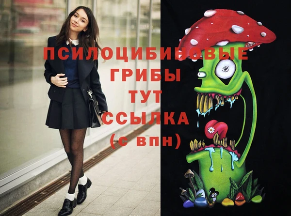 MDMA Богданович