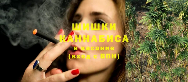 индика Богородицк