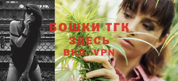 индика Богородицк