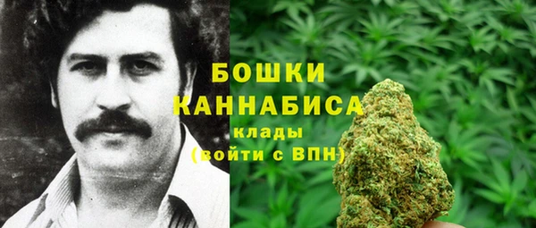 дживик Сосновый Бор