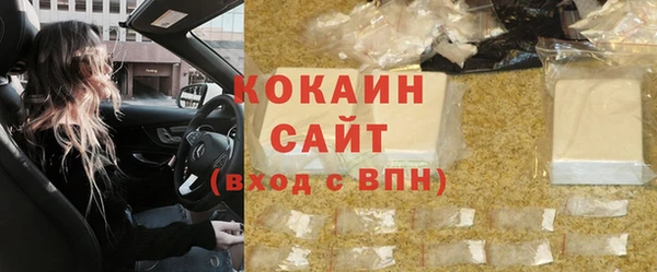 индика Богородицк
