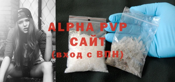 индика Богородицк
