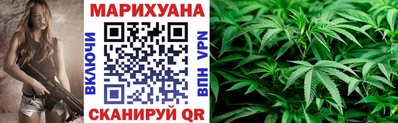 OMG tor  Медвежьегорск  Каннабис план 